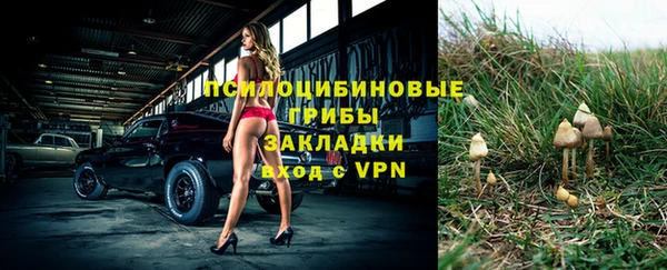 бутират Армянск
