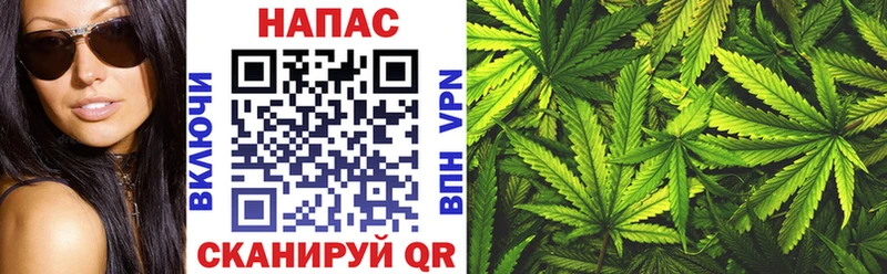 Каннабис Bruce Banner  Рыбное 